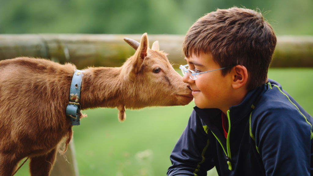 Cartersville, GA Farms for kids