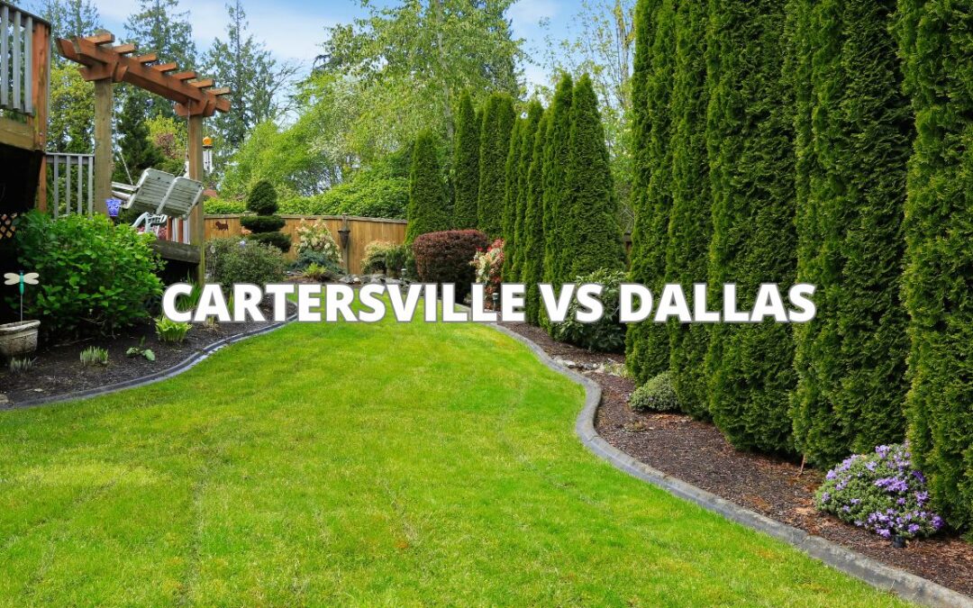 Is living in Dallas better than Cartersville ?