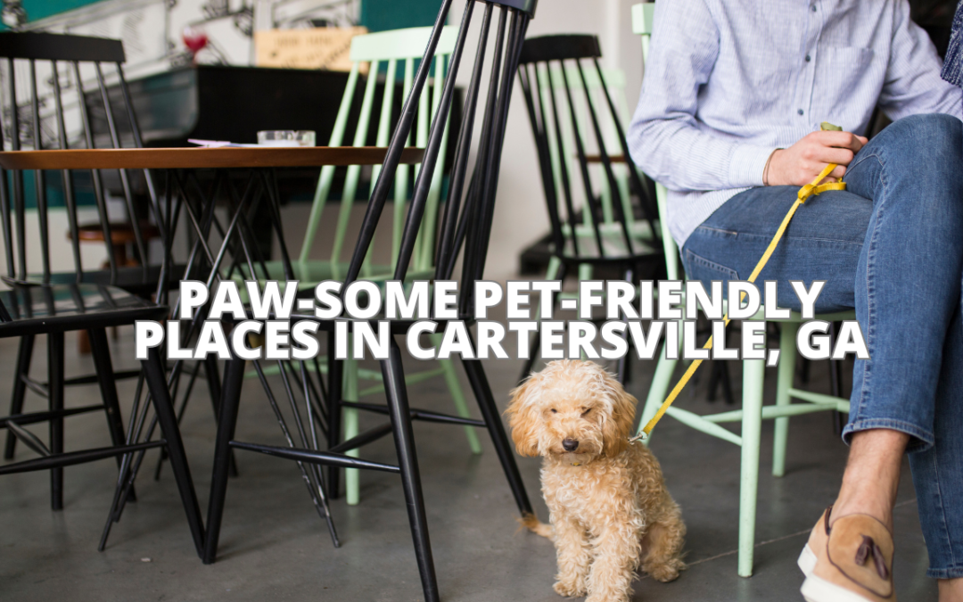 From dining spots to accommodations and recreational areas, here's a guide to some of the best pet-friendly places in Cartersville.